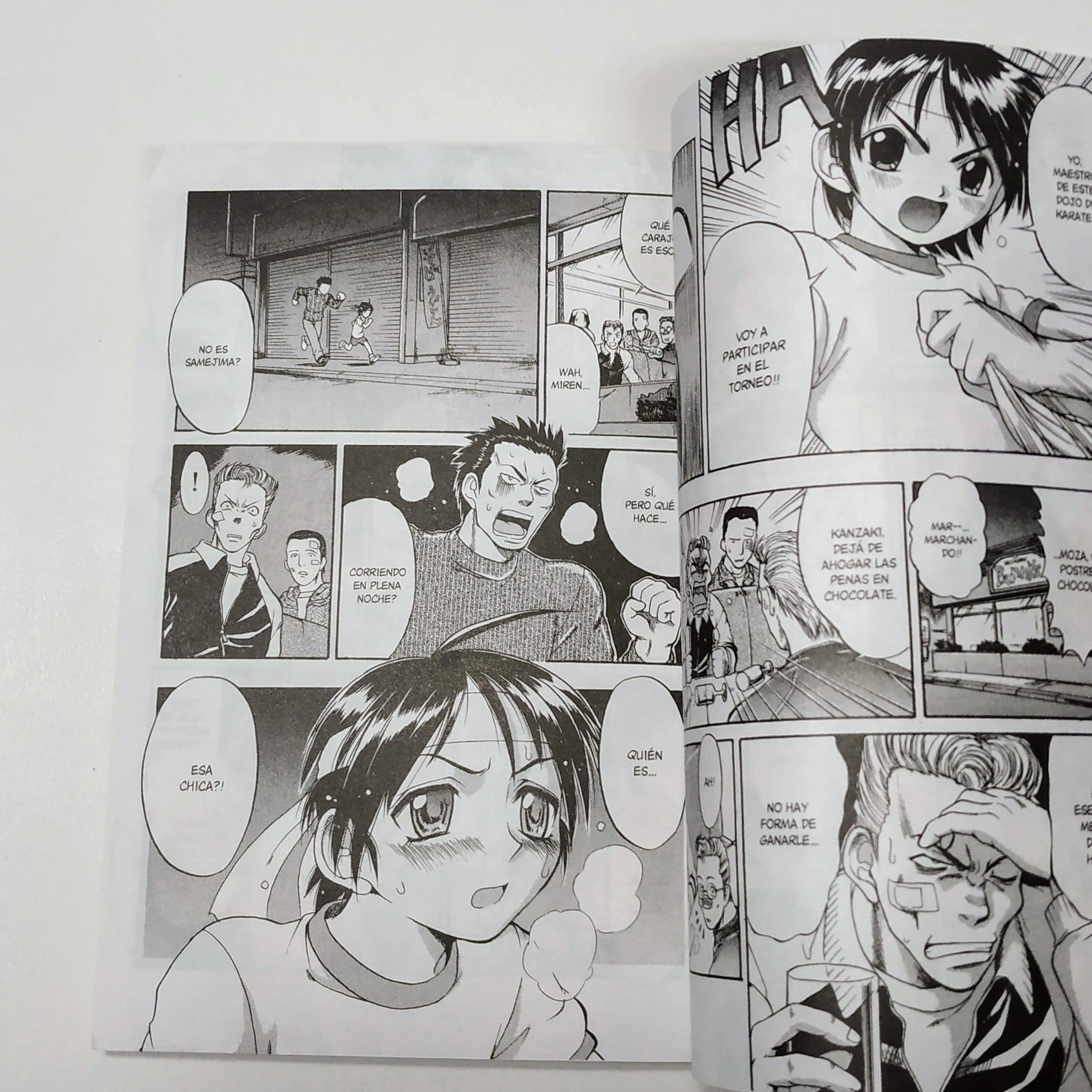 Aoi Destruction (Tomo Único) - imagen 5