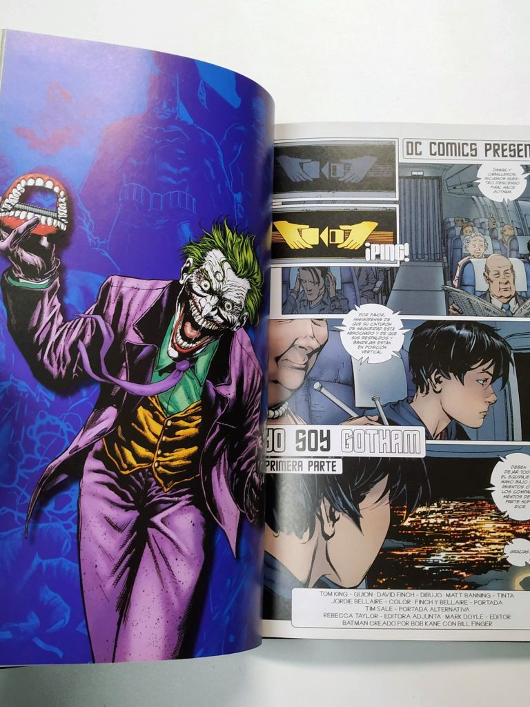 Batman Yo soy Gotham - imagen 11