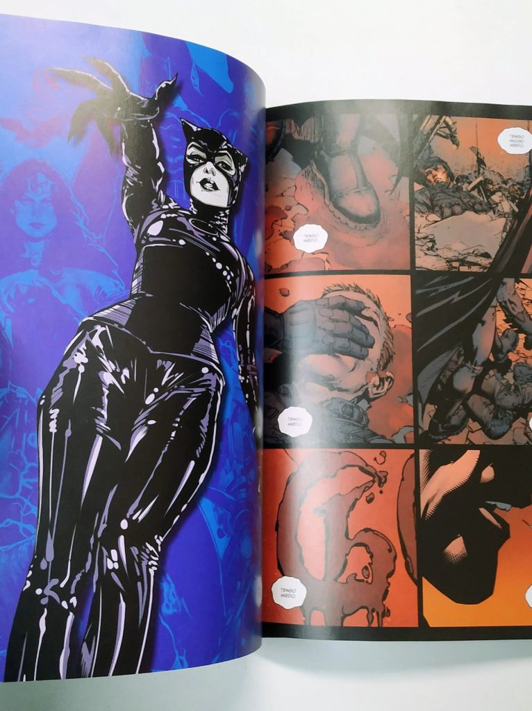 Batman Yo soy Gotham - imagen 9