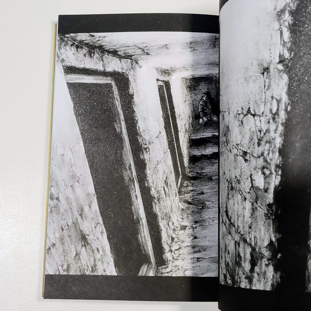 Hideout (Tomo Único) - imagen 10