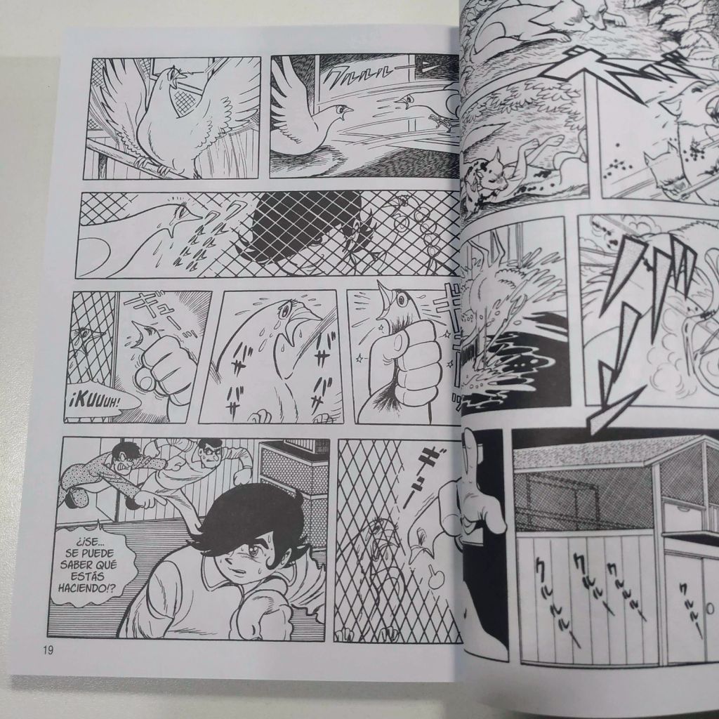 La Canción de Apolo (Completo 2 Tomos) - imagen 8