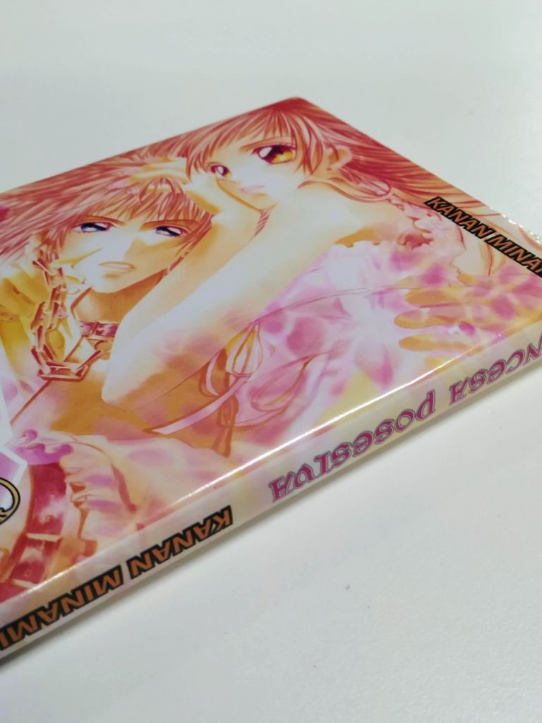 Princesa Posesiva (Tomo Único) - imagen 3