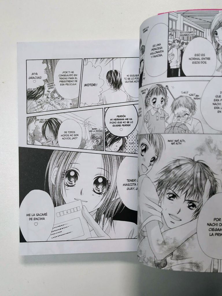 Princesa Posesiva (Tomo Único) - imagen 4