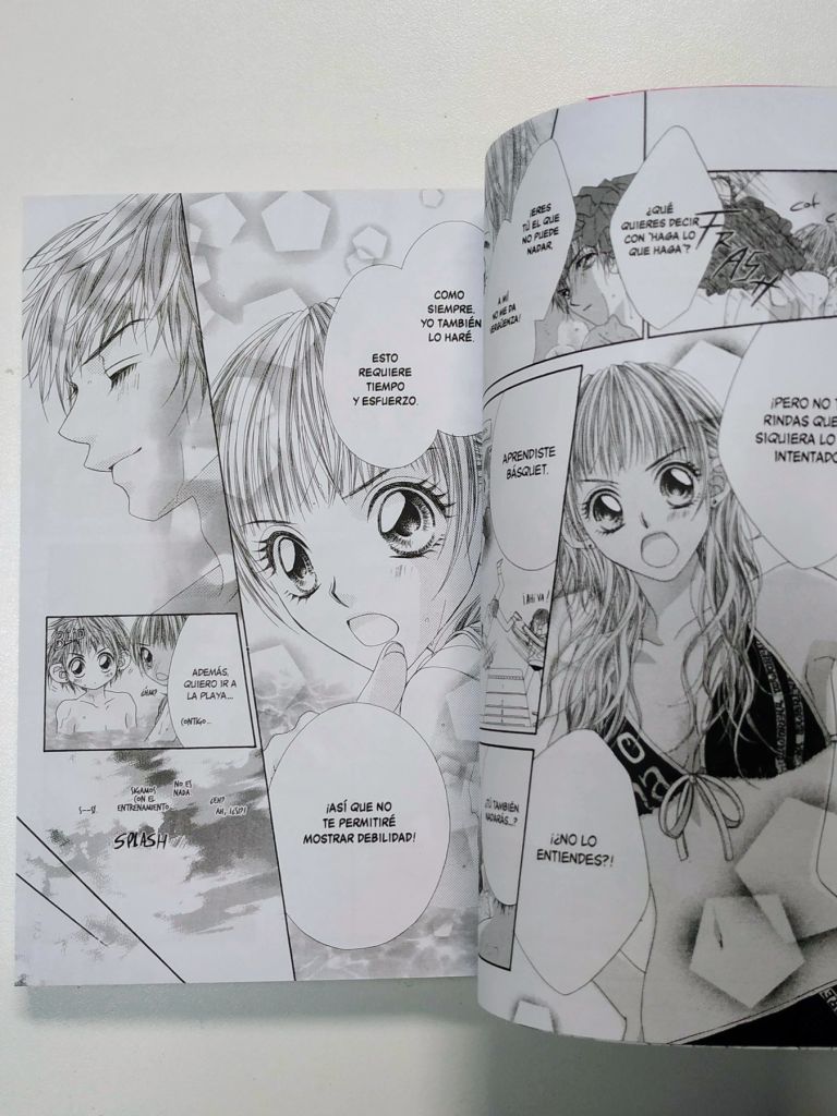 Princesa Posesiva (Tomo Único) - imagen 6
