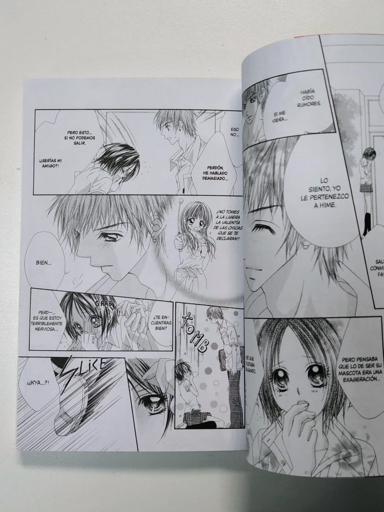 Princesa Posesiva (Tomo Único) - imagen 7