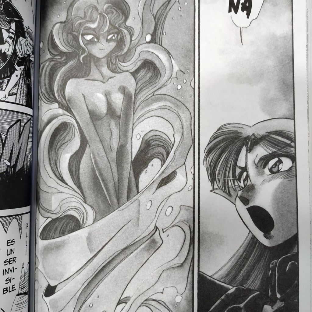 Record of Lodoss War: La Bruja Gris (Completo 3 Tomos) - imagen 10