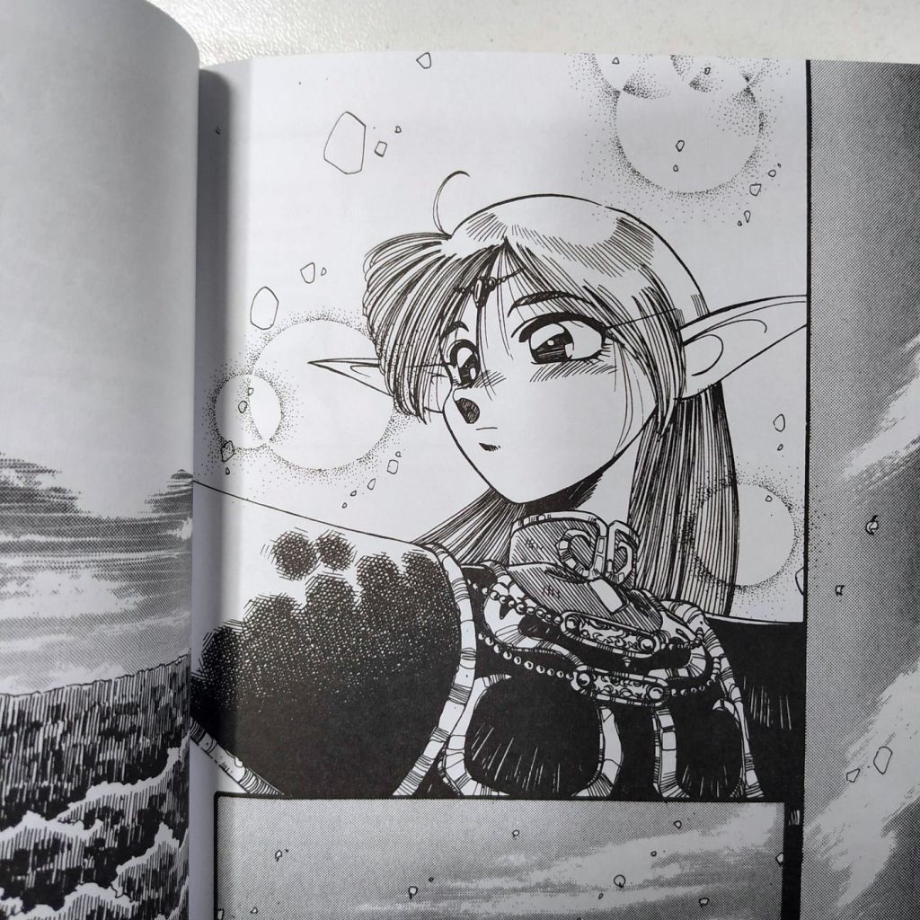 Record of Lodoss War: La Bruja Gris (Completo 3 Tomos) - imagen 11