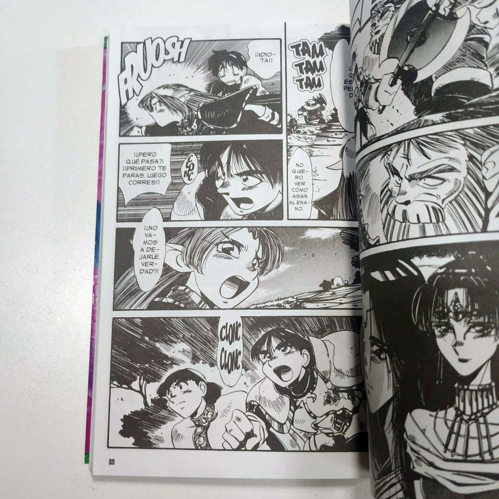 Record of Lodoss War: La Bruja Gris (Completo 3 Tomos) - imagen 5