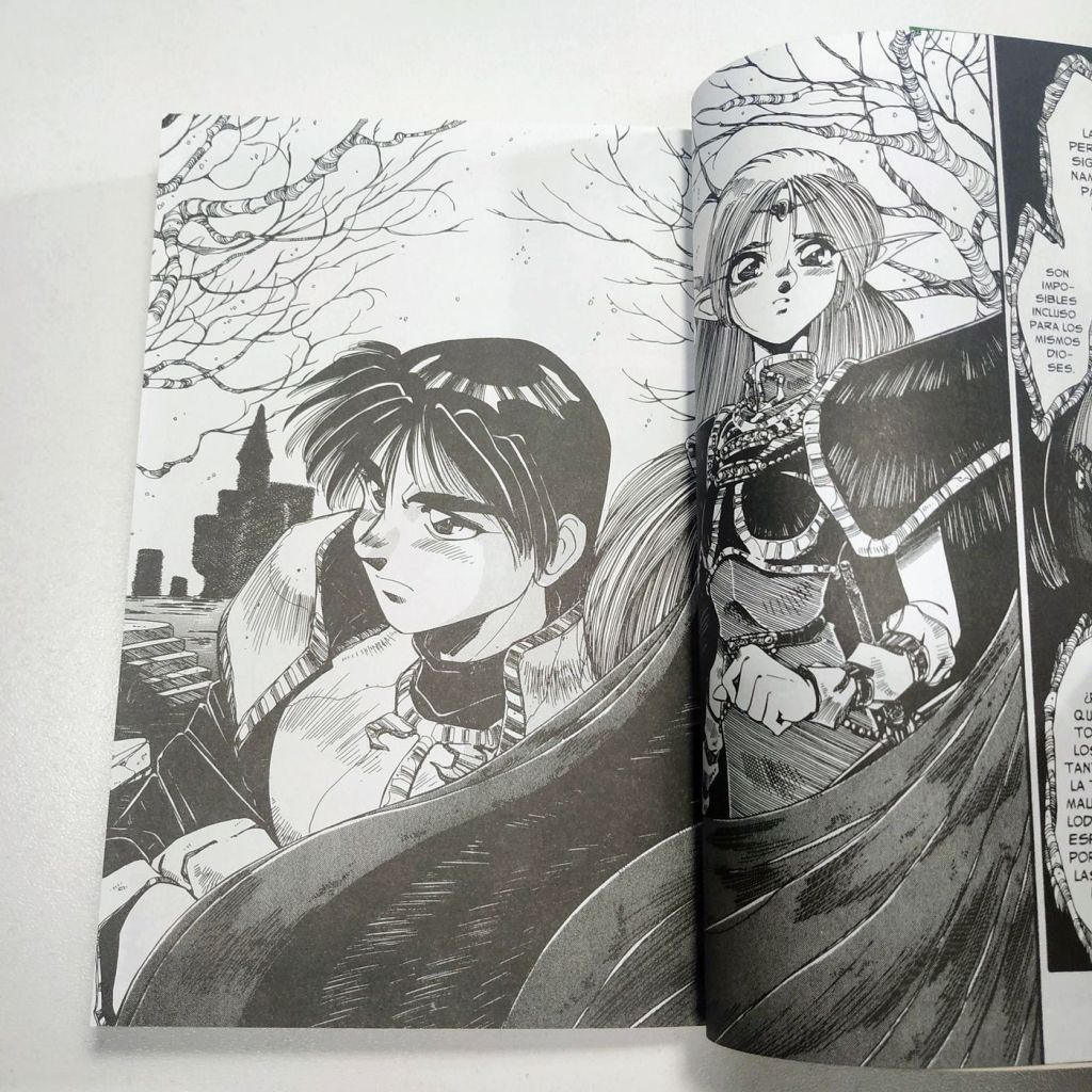 Record of Lodoss War: La Bruja Gris (Completo 3 Tomos) - imagen 7