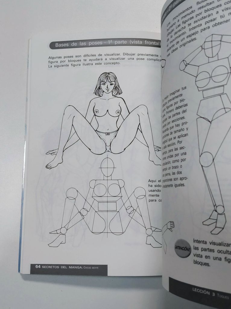Secretos del Manga. Chicas Sexy - imagen 8
